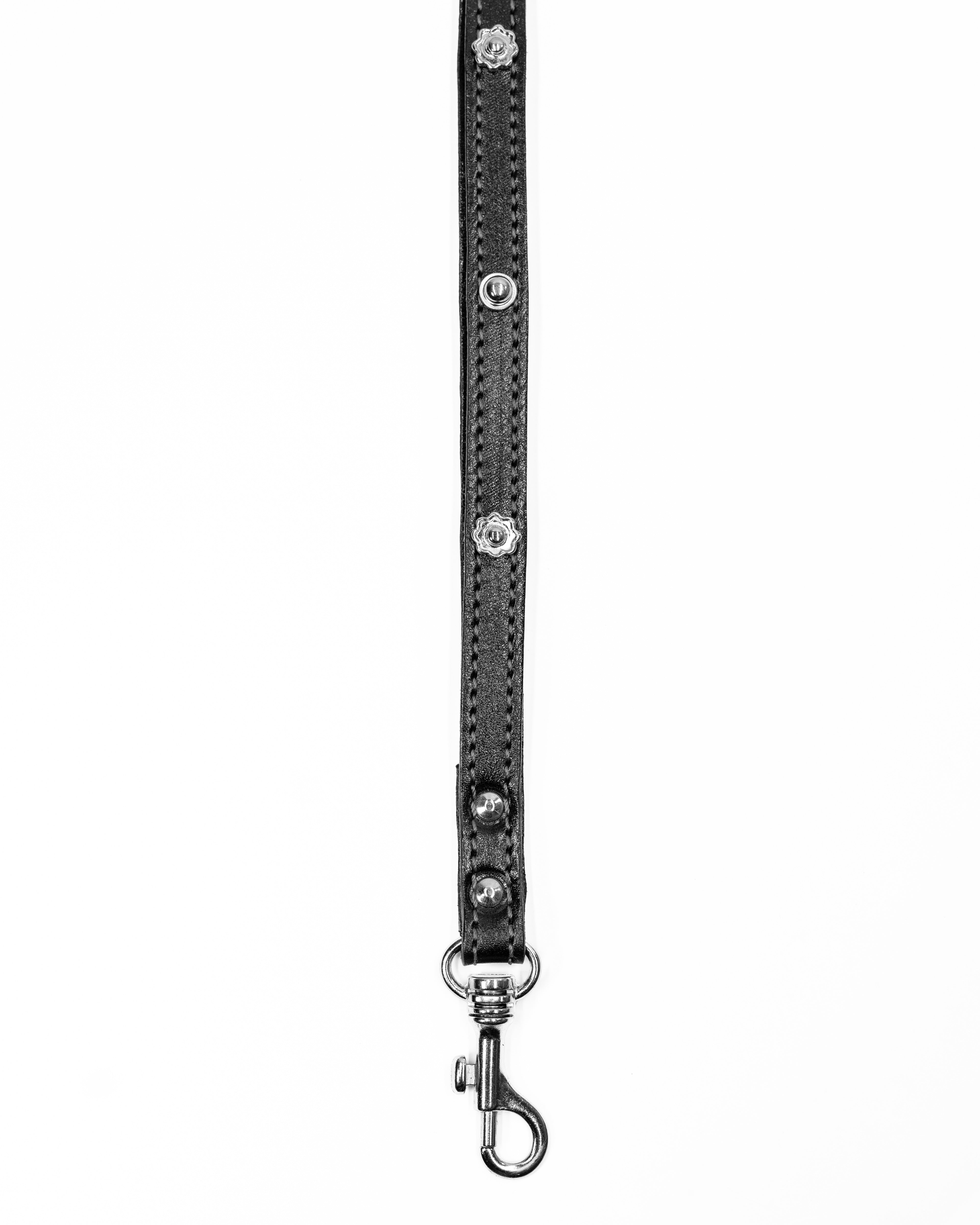 STUDDED LENYARD